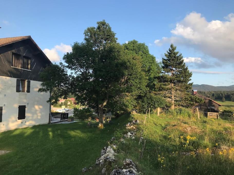 Studio Chaleureux Au Depart Des Sentiers Et Pistes De Ski Lajoux Exterior photo